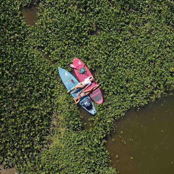峨眉湖布袋蓮迷宮